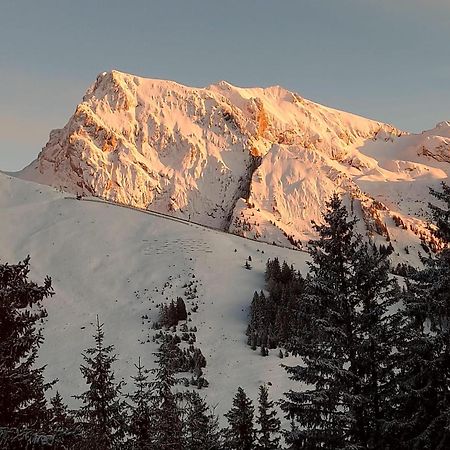 Appartement T2 Col De Merdassier Au Pied Des Pistes Manigod Zewnętrze zdjęcie